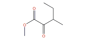 Methyl 2-oxo-3-methylpentanoate